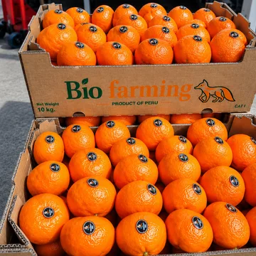 Cítricos Bio Farming empacados