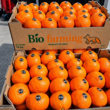 Cítricos Bio Farming empacados