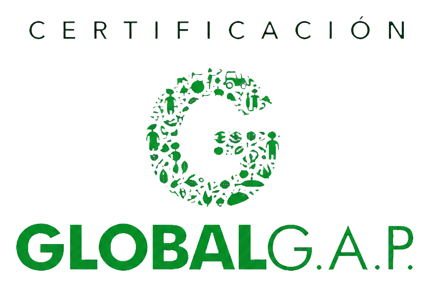 Certificación GLOBALG.A.P. de VillaVentura