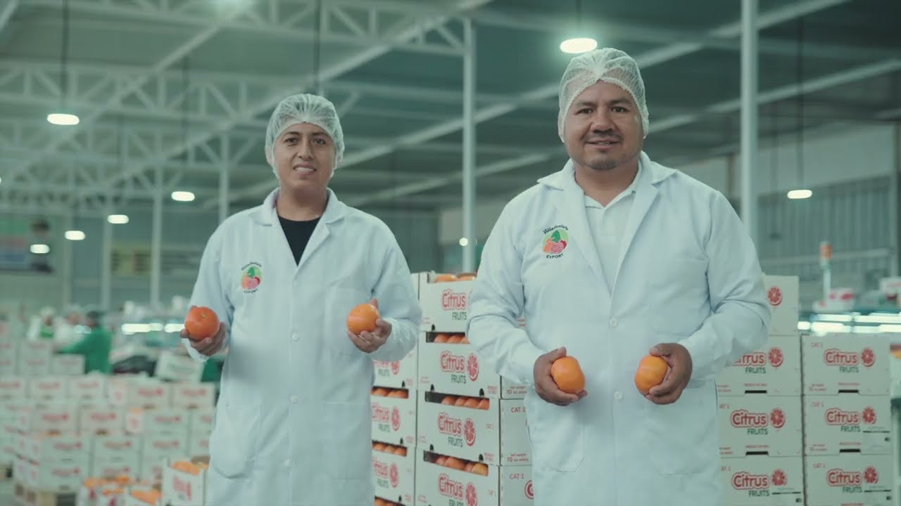 Equipo de VillaVentura en la planta de selección de frutas