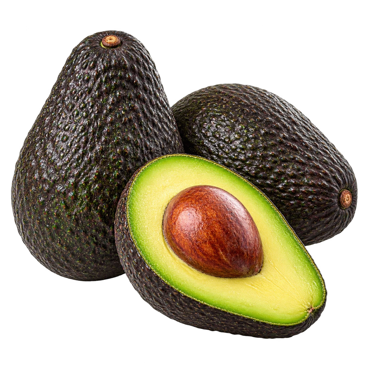 Palta Hass