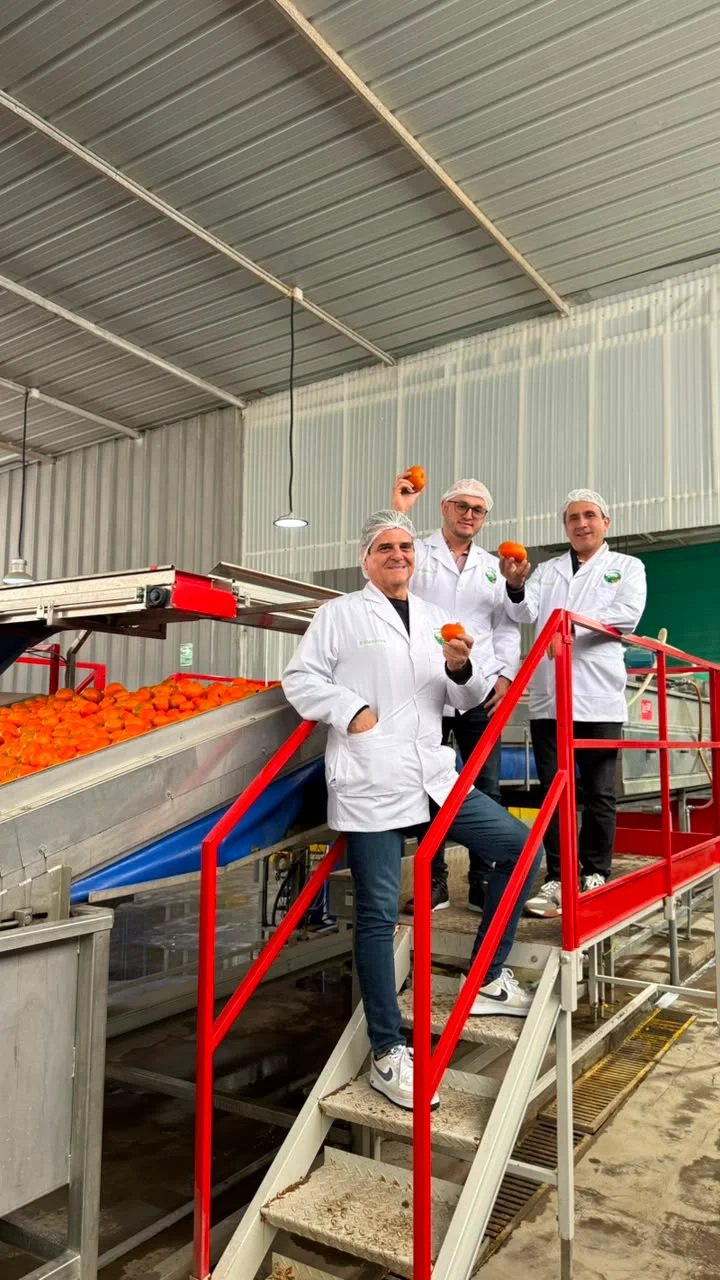 Equipo de VillaVentura supervisando la línea de selección de cítricos